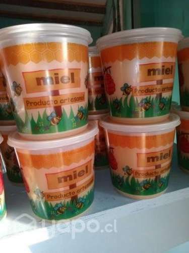 Miel de hulmo y multifloral