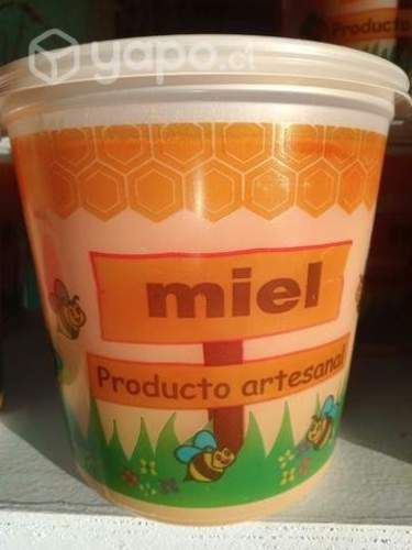 Miel de hulmo y multifloral