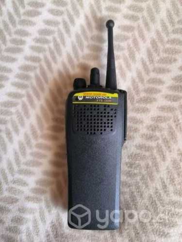 Motorola xts1500