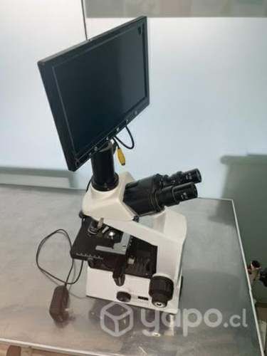 Microscopio profesional