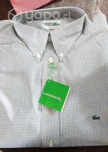 Camisa L- Lacoste manga corta-