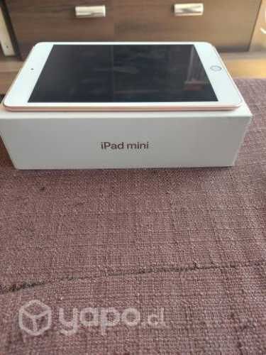 Ipad mini