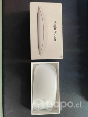 Magic Mouse