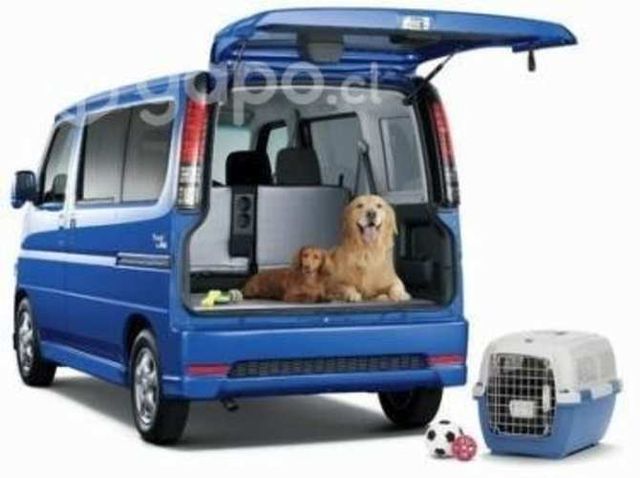 Transportamos mascotas 24 hrs