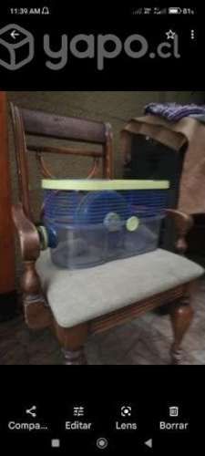 Jaula en buen estado janter