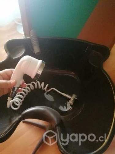 Lavapelos portátil y silla