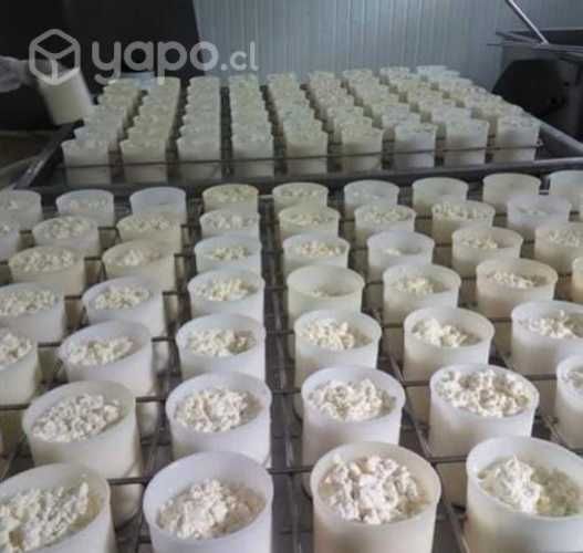 Queso llanero y demás