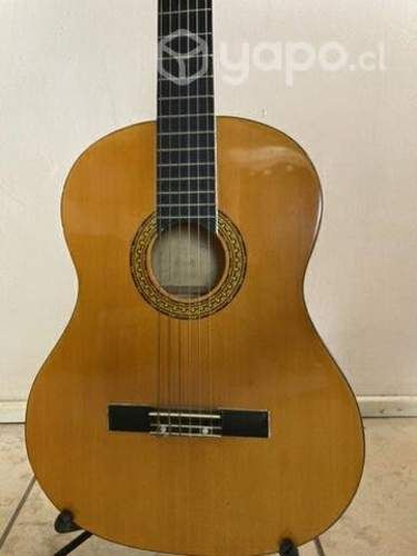 Guitarra acústica