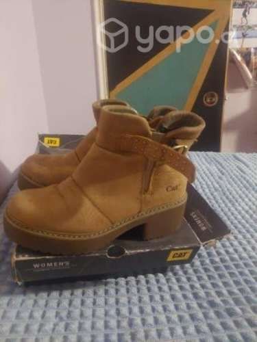 Botines cat