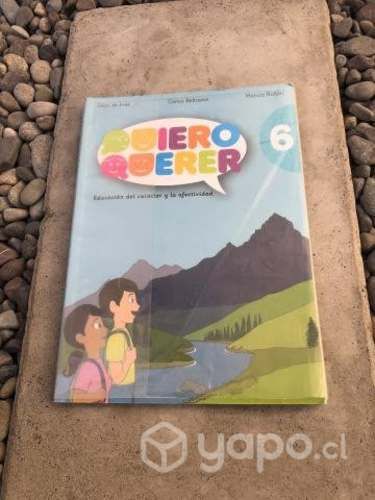 Libro Quiero Querer 6 Básico