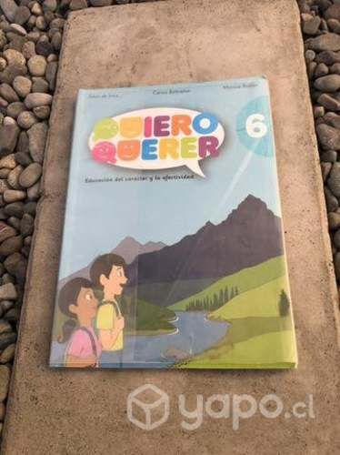 Libro Quiero Querer 6 Básico