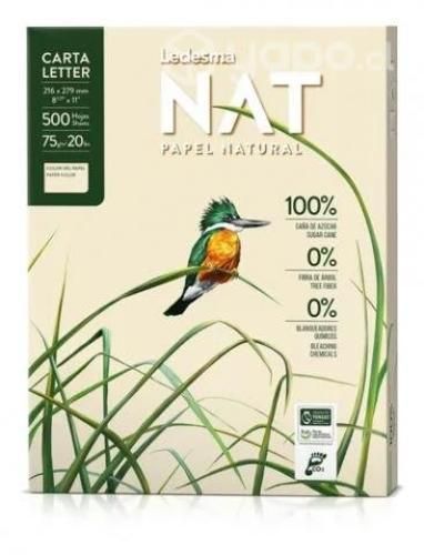 Papel ecologico carta ledesma gris