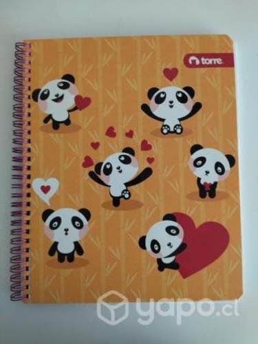 Cuadernos universitarios