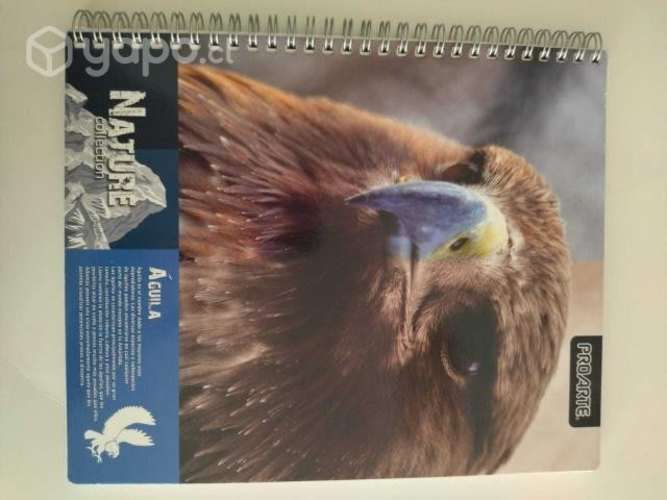 Cuadernos universitarios