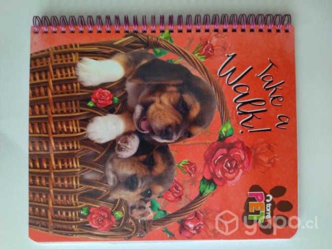 Cuadernos universitarios