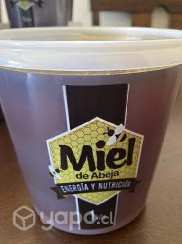 Rica miel de arauco