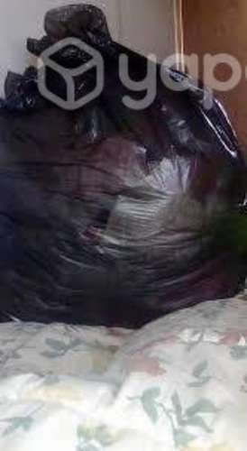 Lote de ropa + zapatos mujer