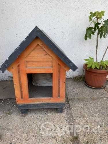 Casa de perrito