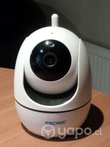 Cámara IP de Seguridad de interior