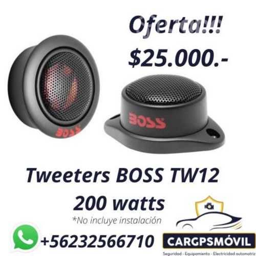 Tweeters boss tw12