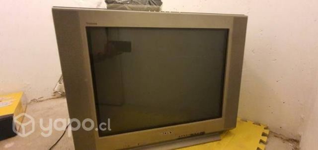 Televisor 29"