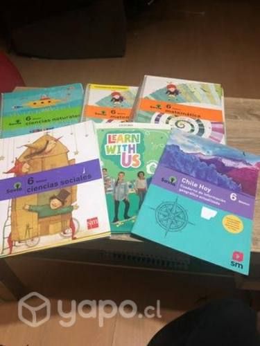 Libros 6 básico