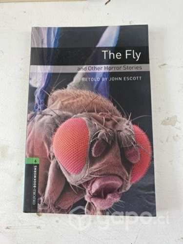 The enemy y the fly