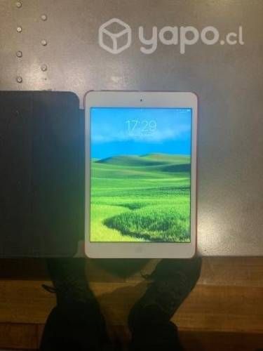 IPad Mini 2 (Buen Estado)
