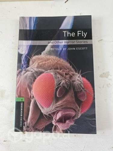 The fly