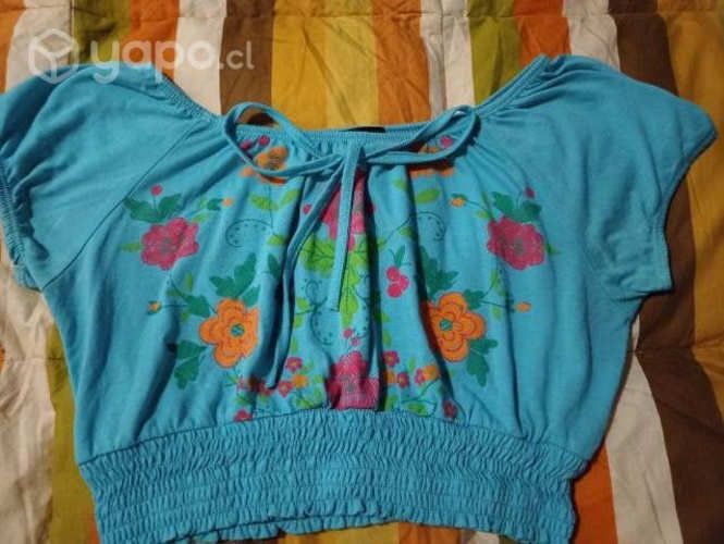 Poleras, jardinera, etc