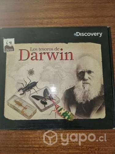 INSECTARIO, los tesoros de darwin