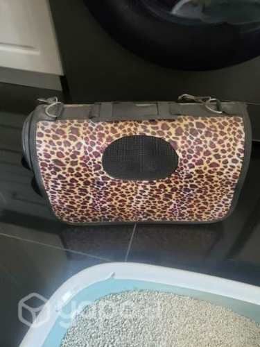 Set para gatos 2 en uno