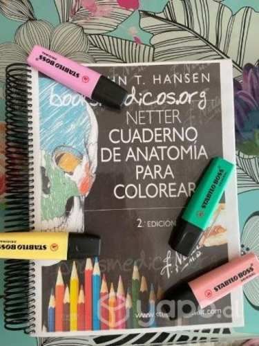 Libro netter para colorear