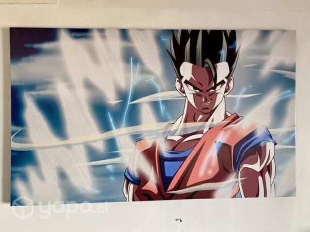 Cuadro Gohan Dragon Ball Z
