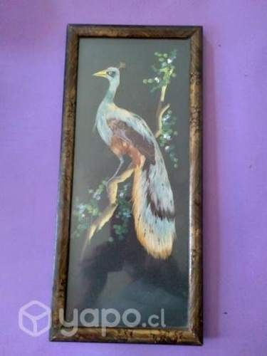 Cuadrito antiguo con plumas naturales