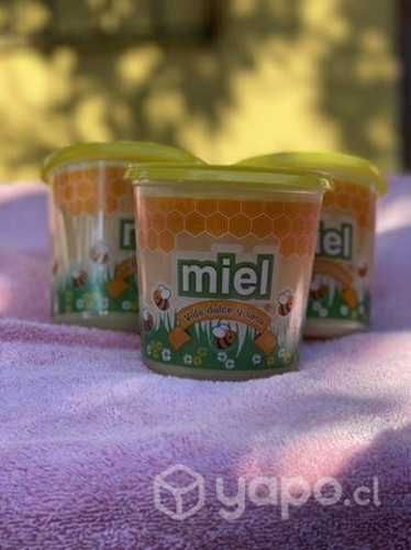 Miel Multifloral