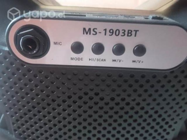 Parlante Bluetooth/karaoke