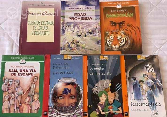 Libros Complementarios Alfaguara, SM, ZigZag