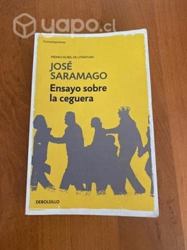 Ensayo sobre la ceguera