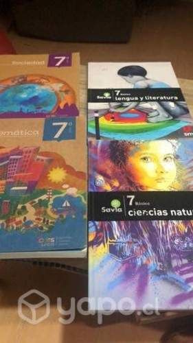 Libro 7 basico