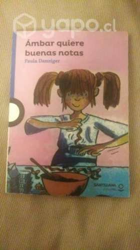 Ámbar quiere buenas notas libro