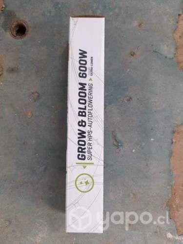 Ampolletas para indoors