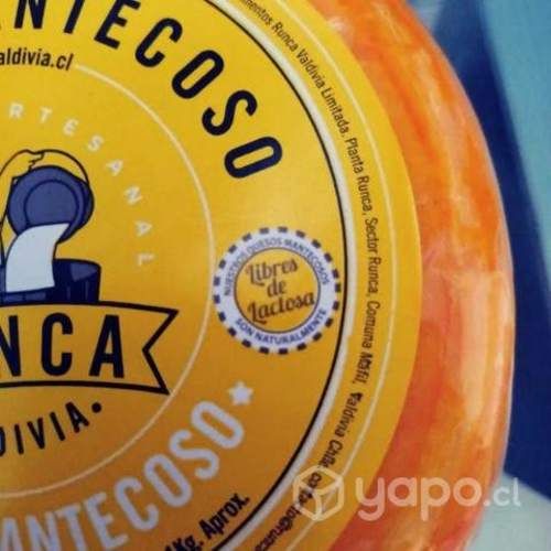 Queso mantecoso artesanal sin lactosa, ni gluten