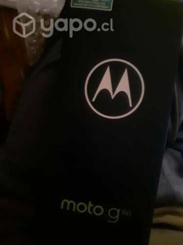 Celular Motorola g60