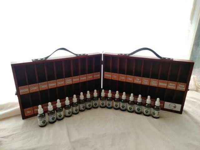 Flores de Bach 30 ml ( Set Completo )