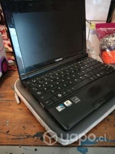 Netbook TOSHIVA