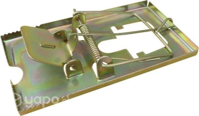 Trampa laucha - china