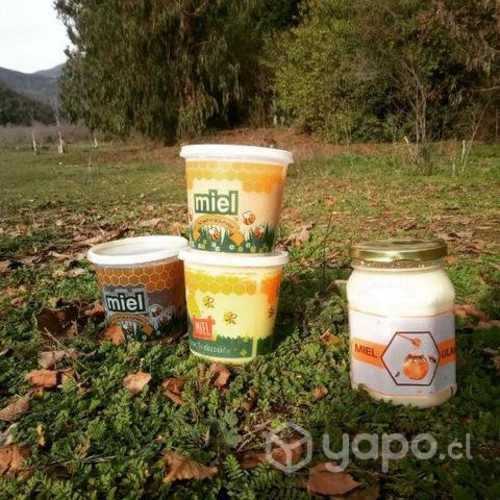 Miel pura 100% natural