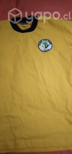 Polera alto pewen talca