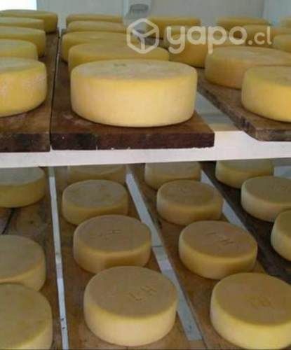 Productos del sur para su negocio (quesos y salmón